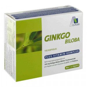 GINKGO 100 mg Kapseln+B1+C+E